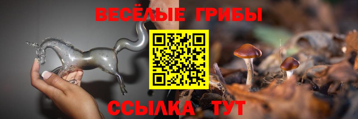Галлюциногенные грибы Magic Shrooms Владикавказ